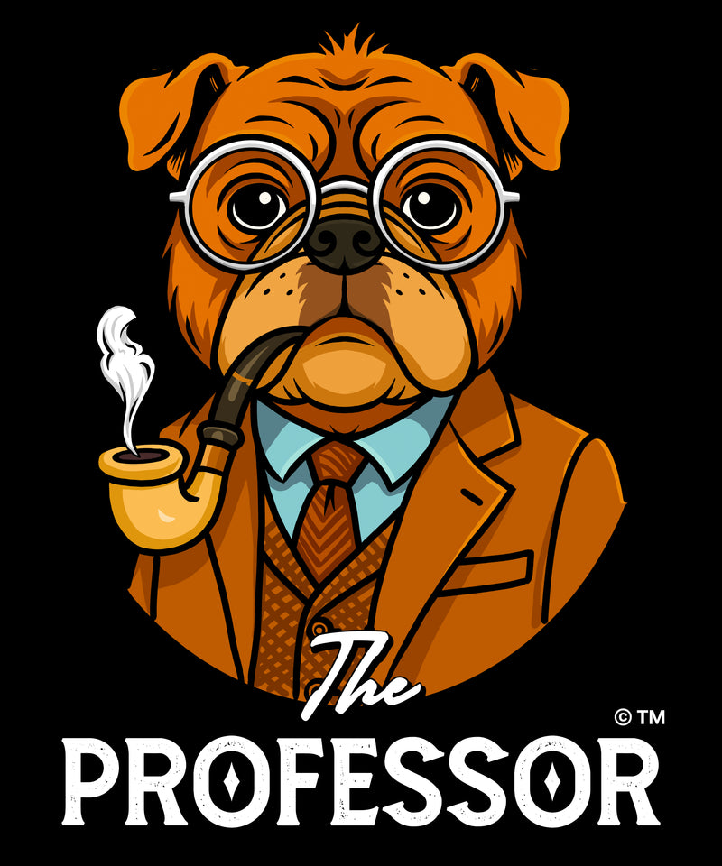 The Professor